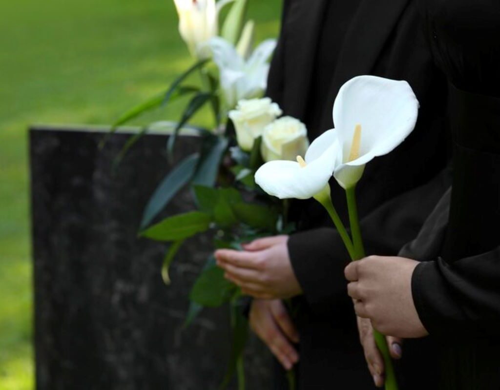 lane cove flowers